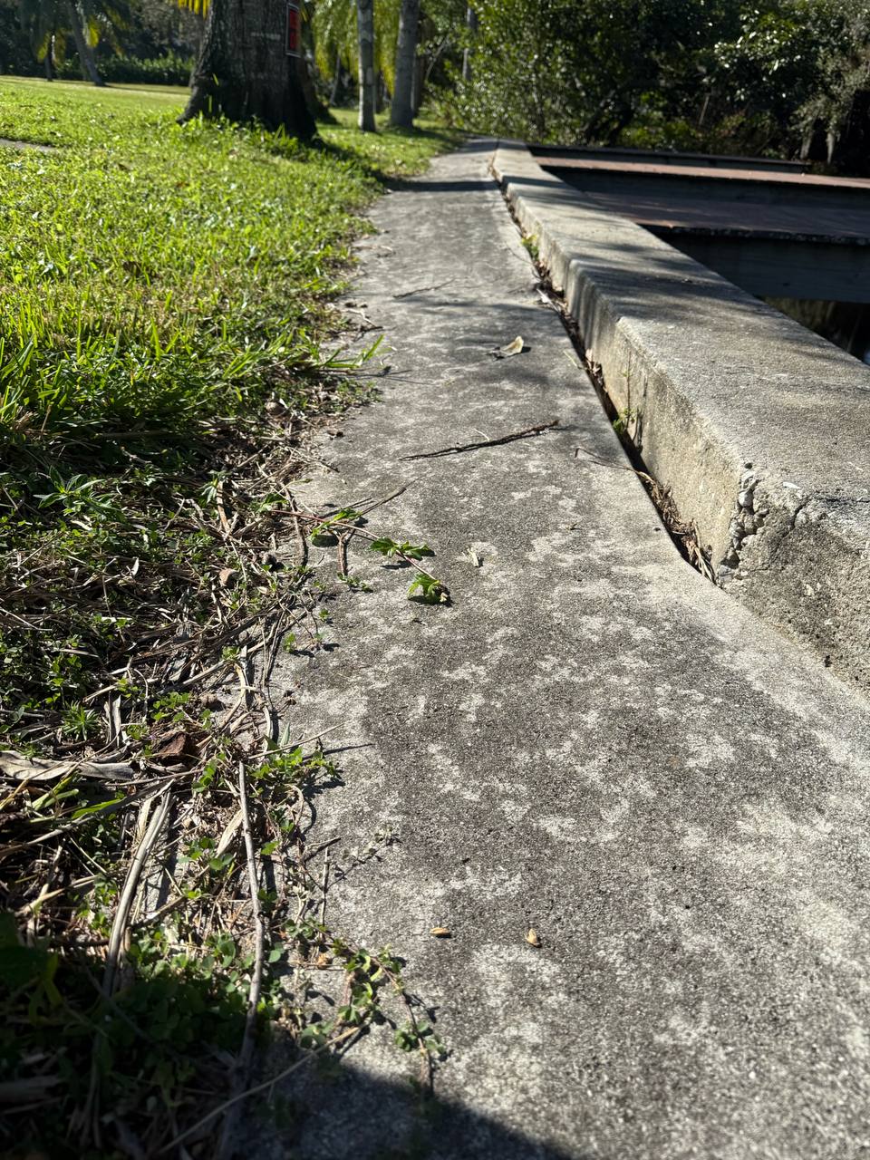 Cracked seawall cap with concrete walkway pulling away from the wall